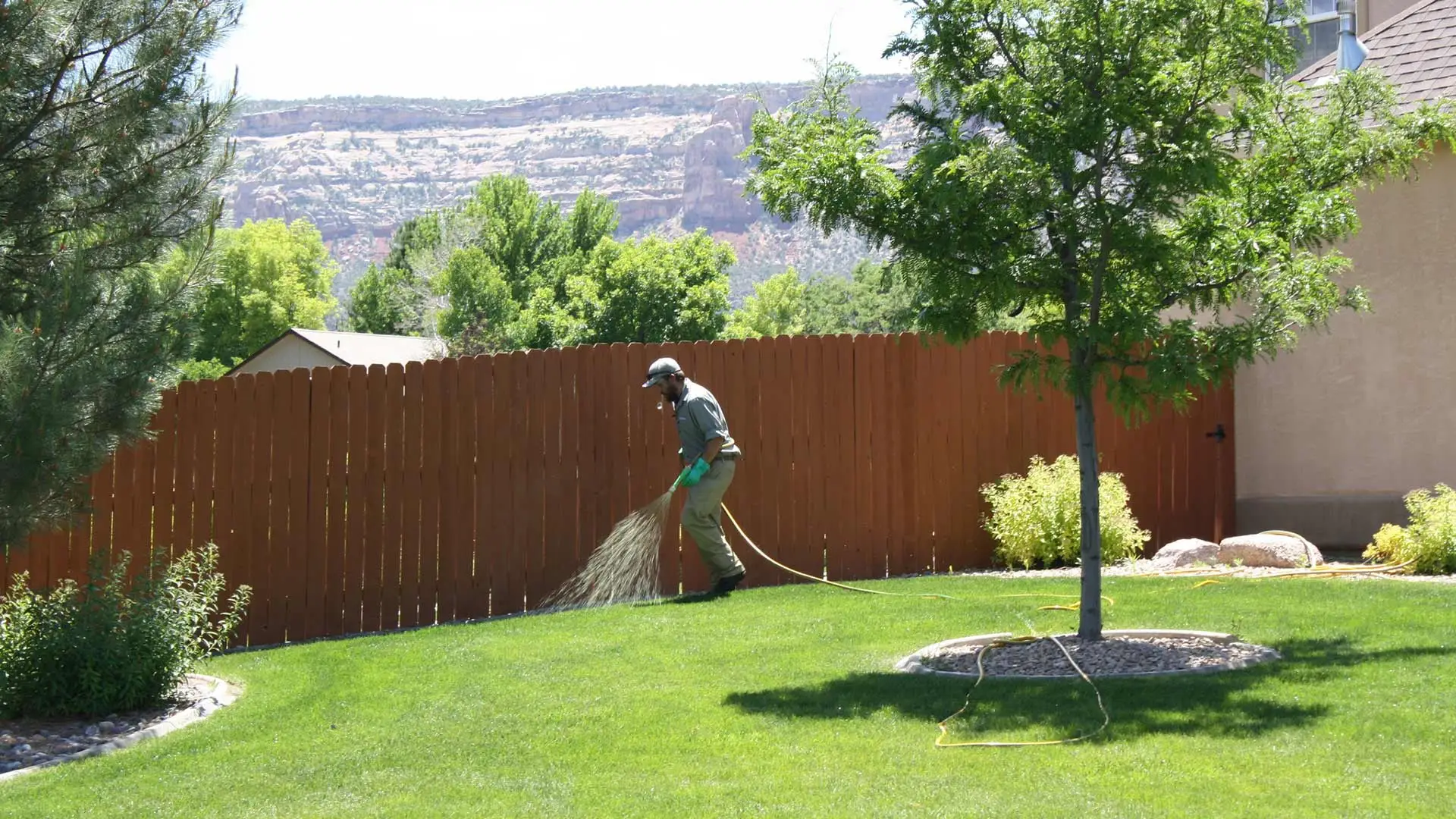 Fertilizer treatment being applied to a lawn in Grand Junction, CO.