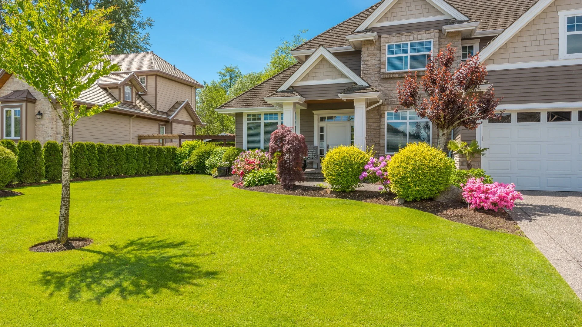 Professional tree and shrub pruning in Grand Junction