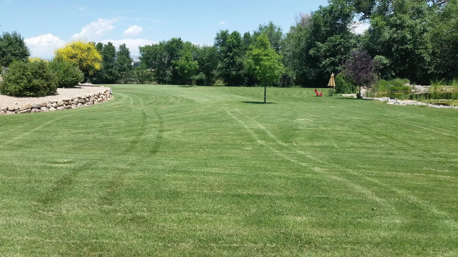 What Lawn Care Services You Actually Need in Grand Junction