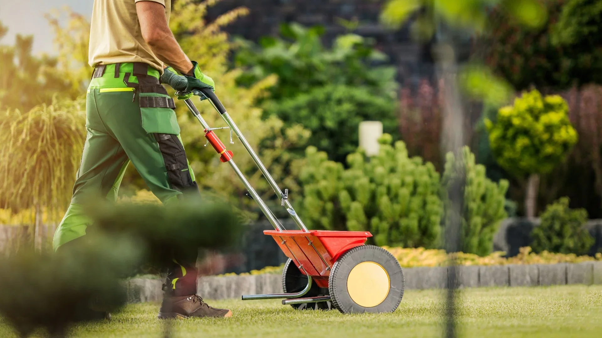 Lawn Fertilization Schedule for Grand Junction Yards