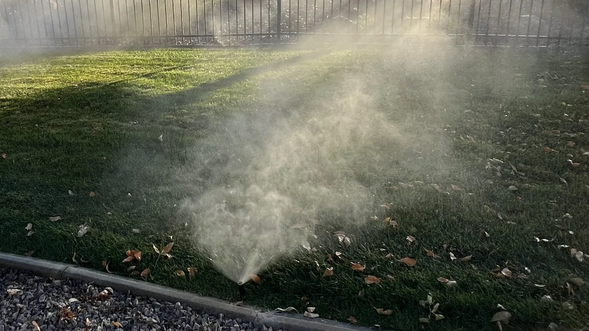 Sprinkler head watering green lawn in Western Colorado.