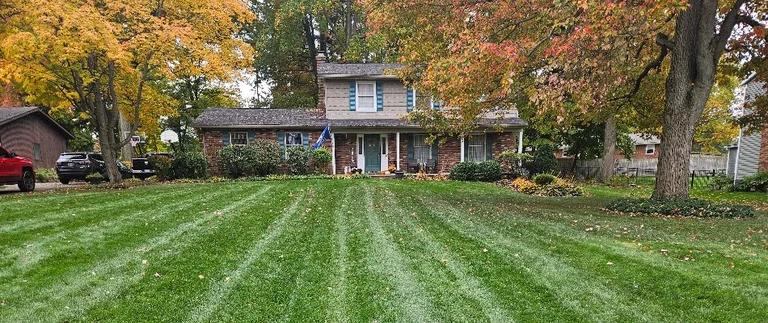 Professional lawn fertilization in Grand Junction