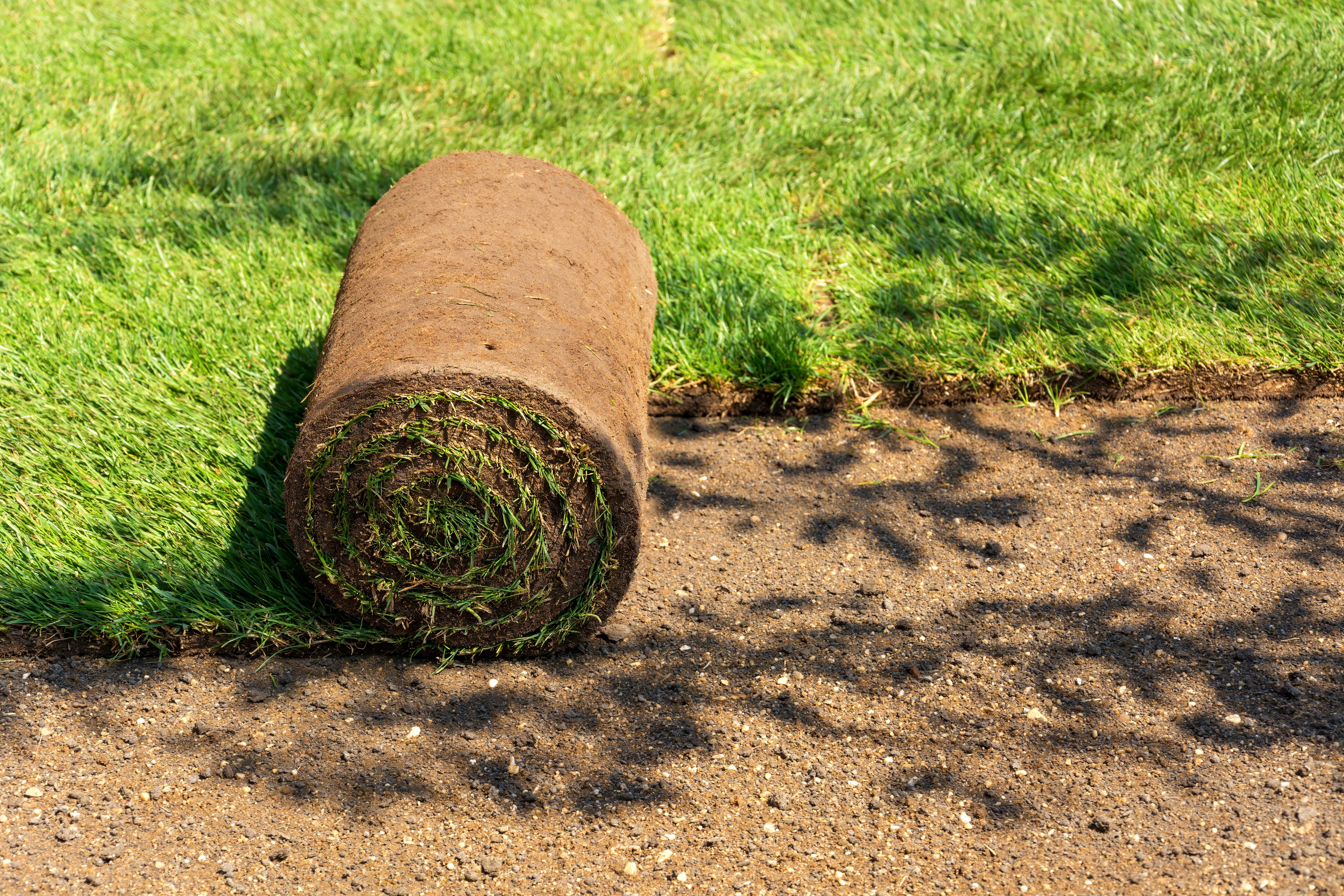 Sod Installation service in Grand Junction
