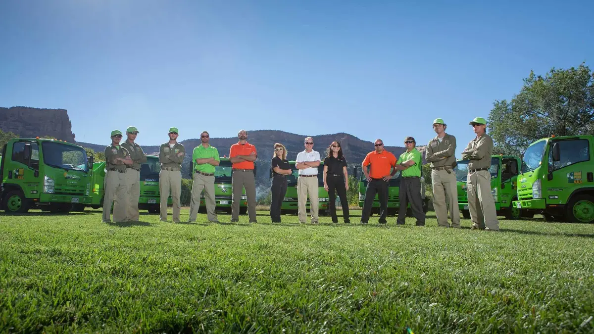 Professional lawn care service