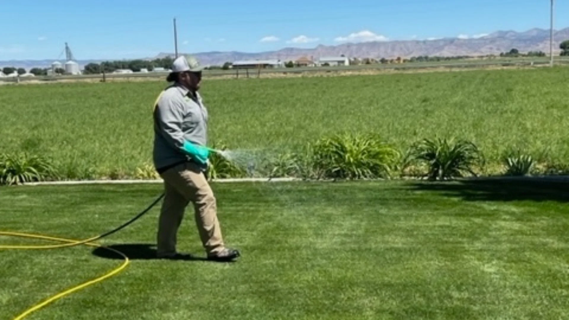 Individual watering a vibrant lawn with a hose in Grand Junction, CO.