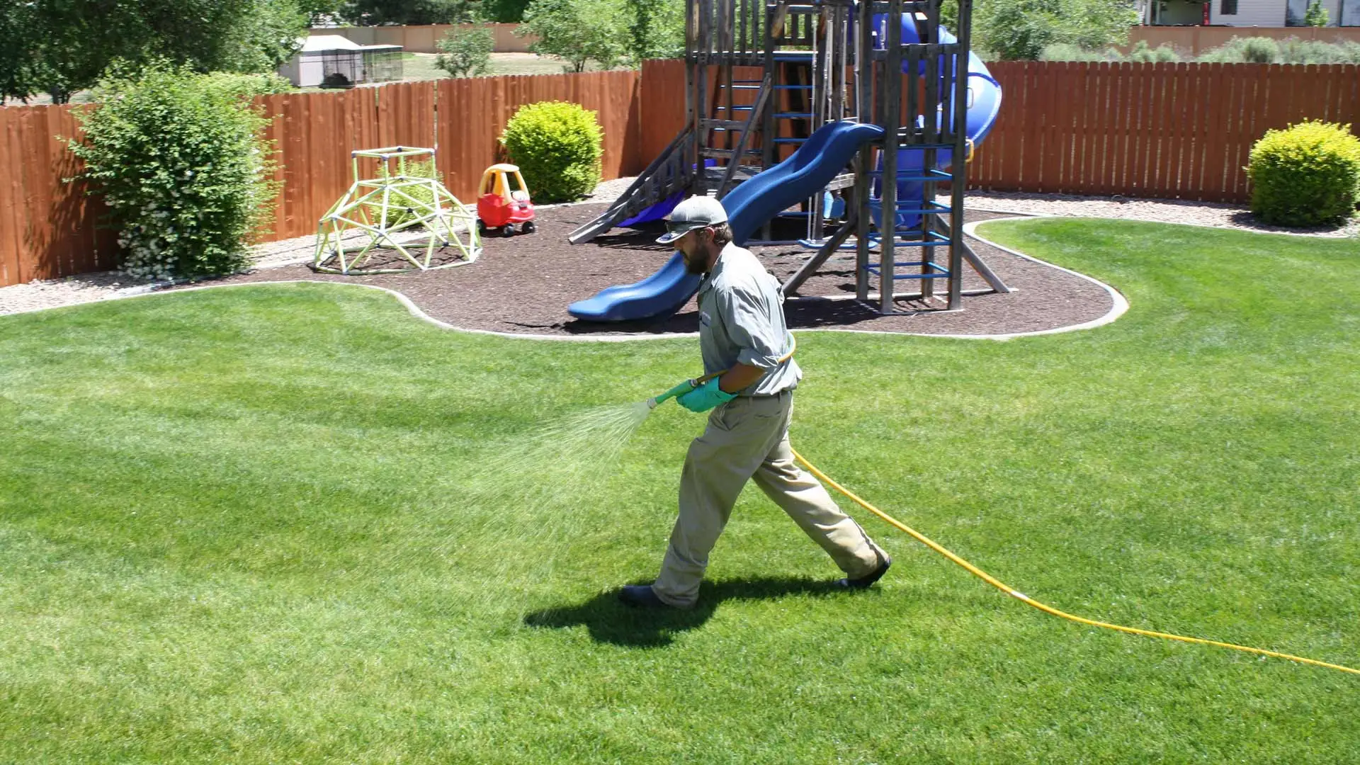 A lawn expert is spraying lawn fertilization on a lawn with a playground in the yard in Palisade, CO.