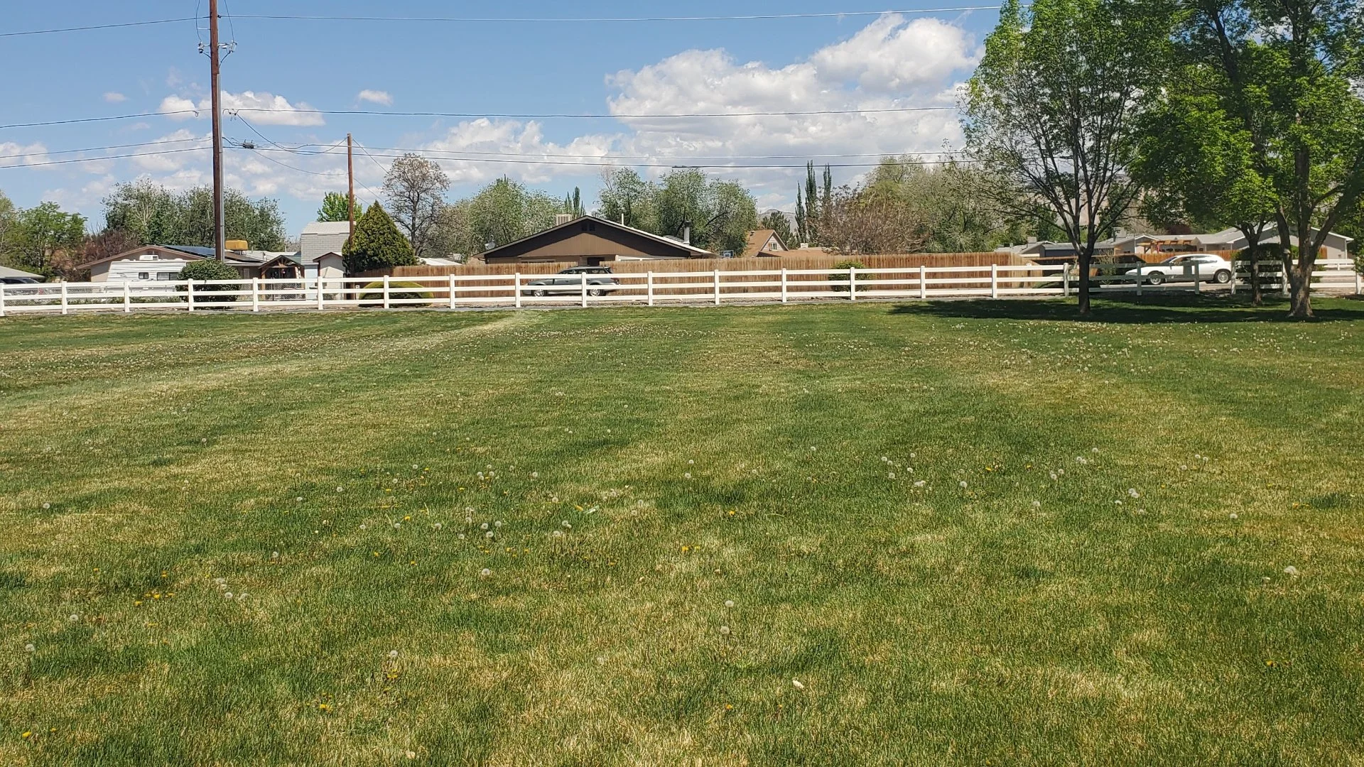 Is Your Lawn's Soil Compacted? Here's How to Tell