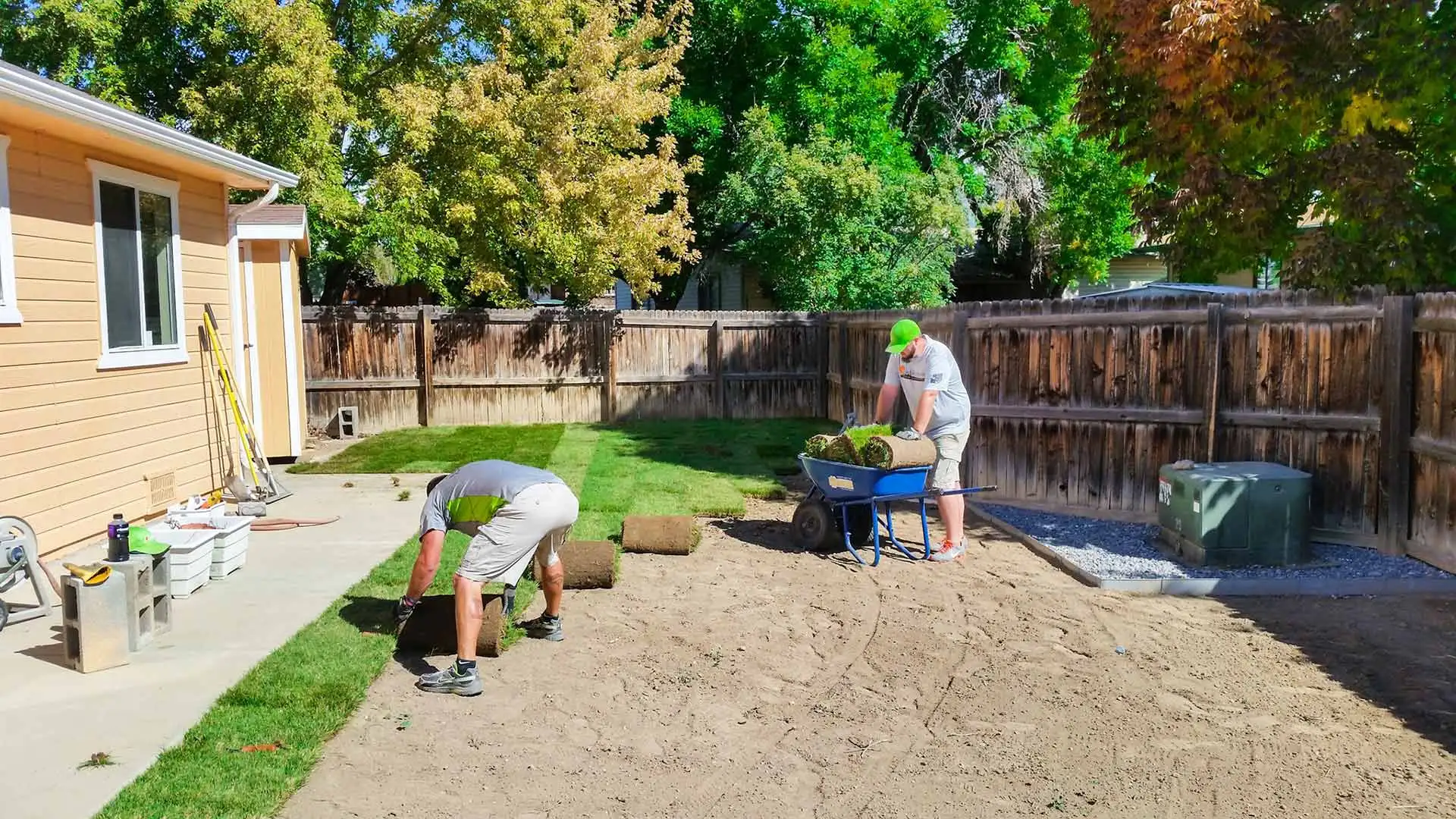 Professionals installing new sod during a lawn renovation project near Fruita, CO.