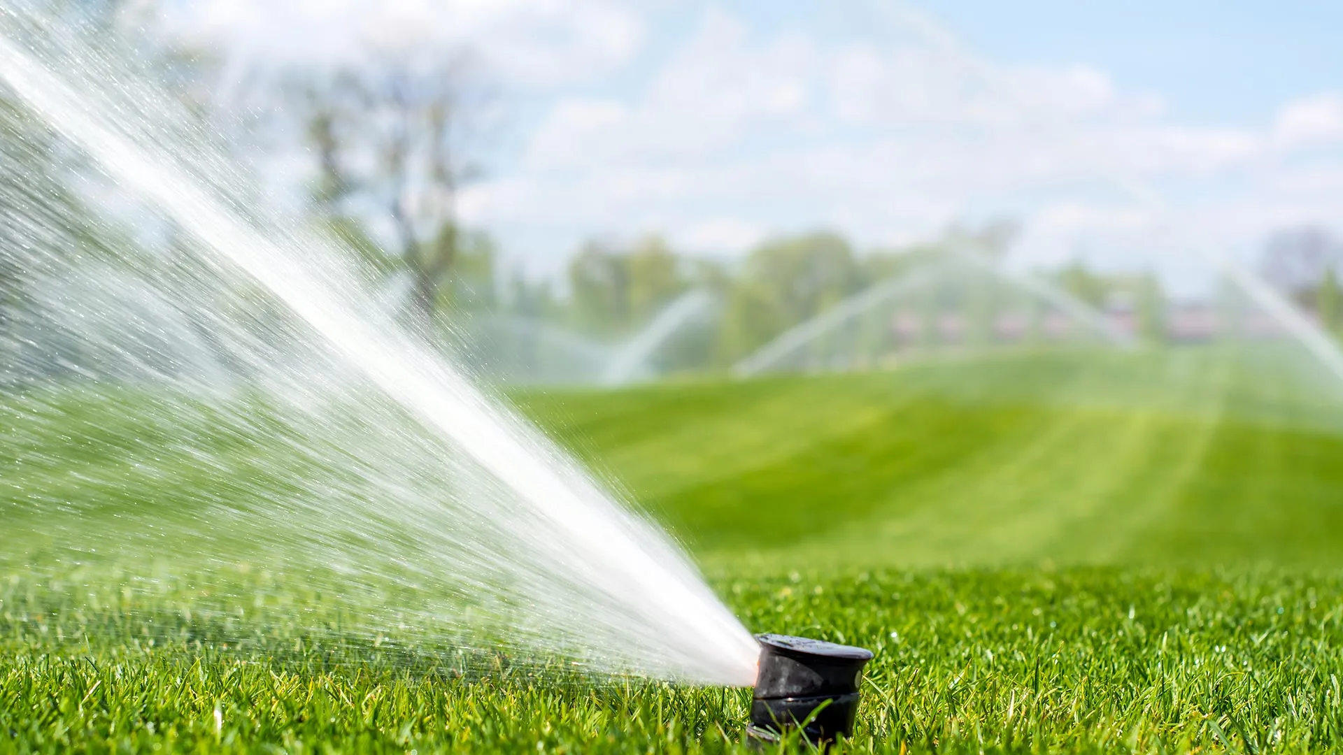 A sprinkler irrigation system is watering a gorgeous lawn near Grand Junction, CO.