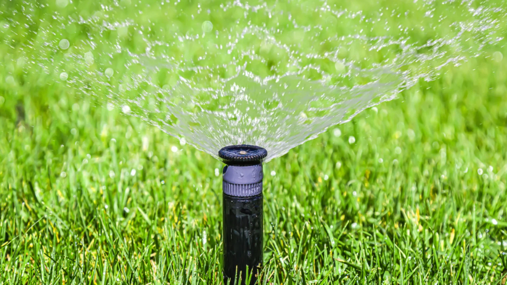 How Often Should You Be Running Your Irrigation System in Colorado?