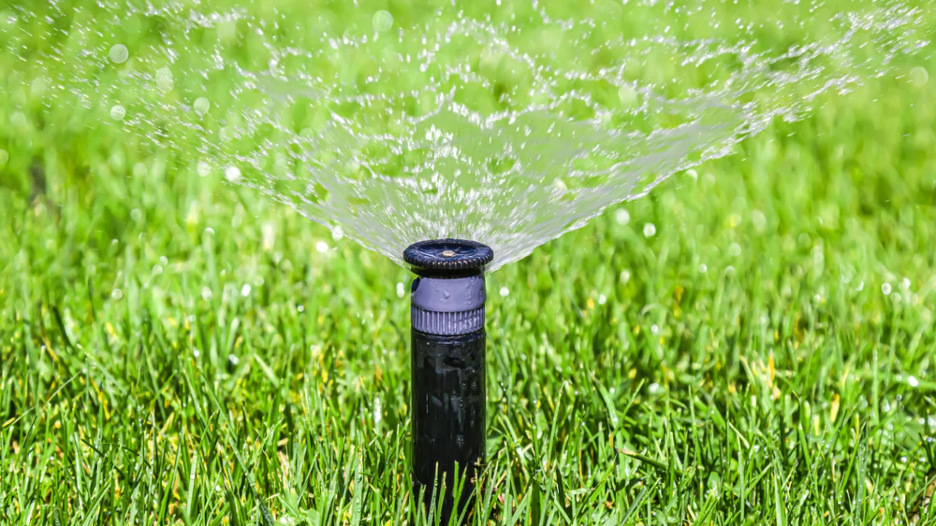 Can You Install an Irrigation System Yourself?