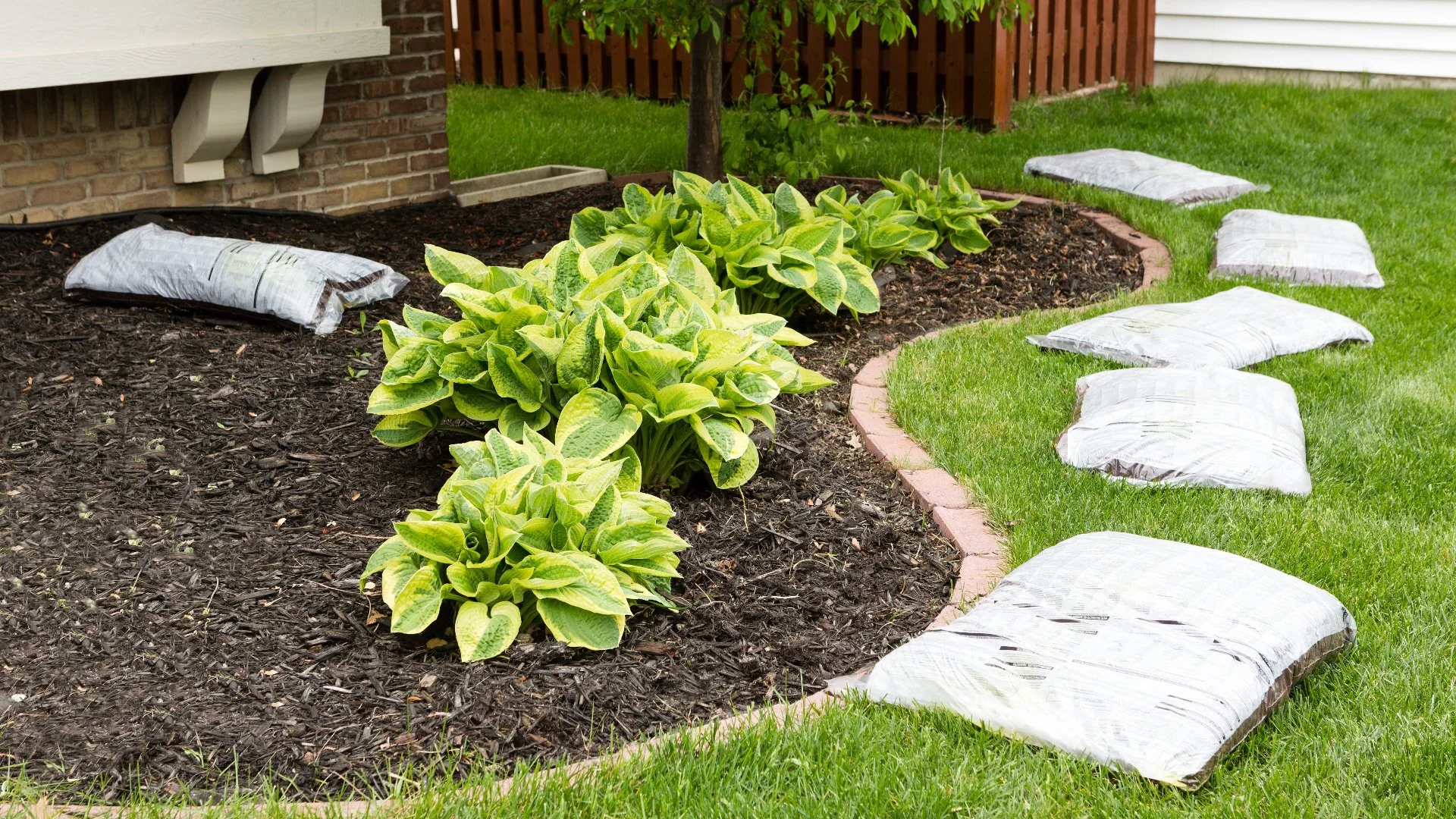 Can You Add New Mulch on Top of the Old Layer?