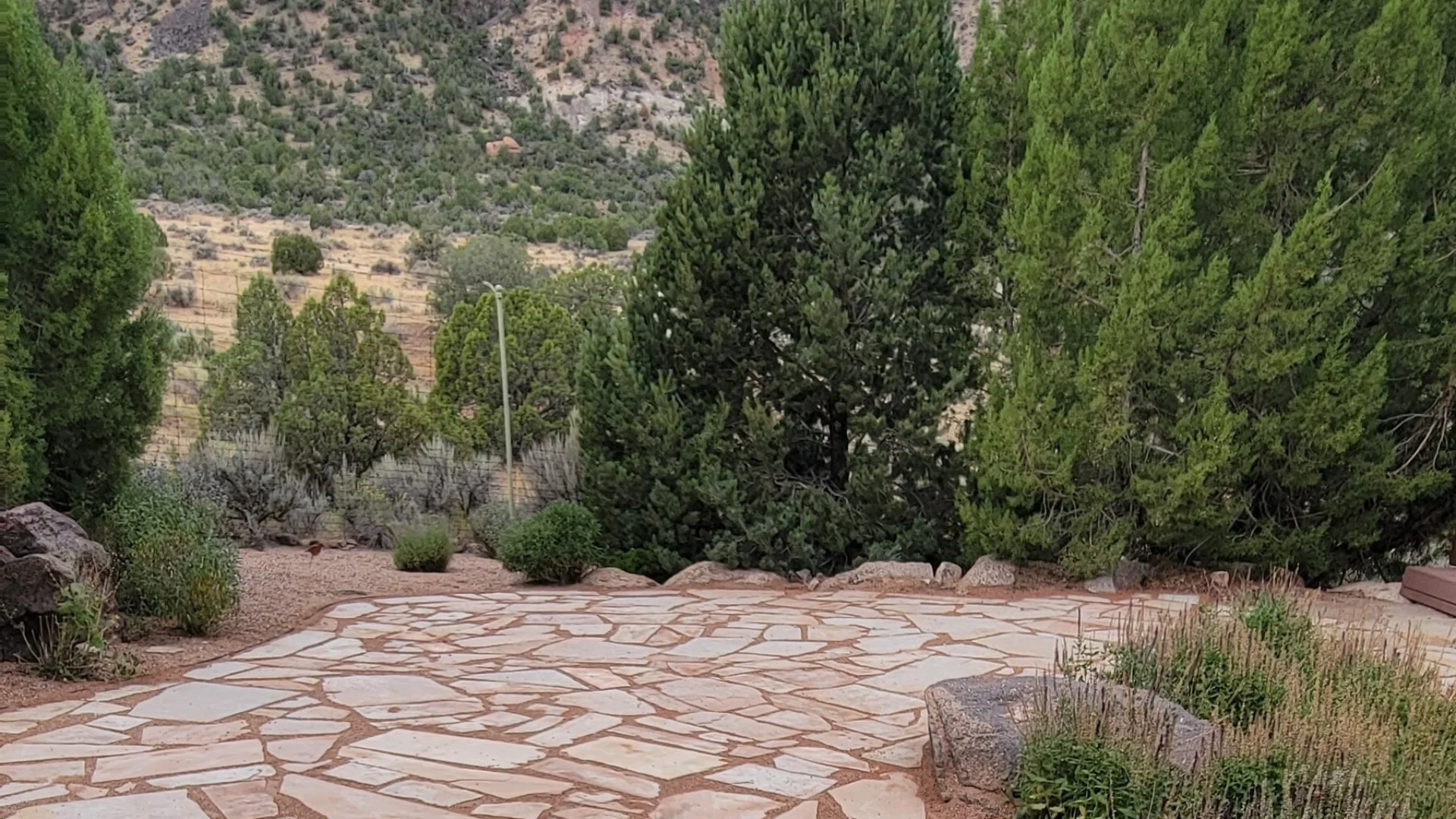 Make Sure You’re Hiring the Right Company for Your Landscape Renovation