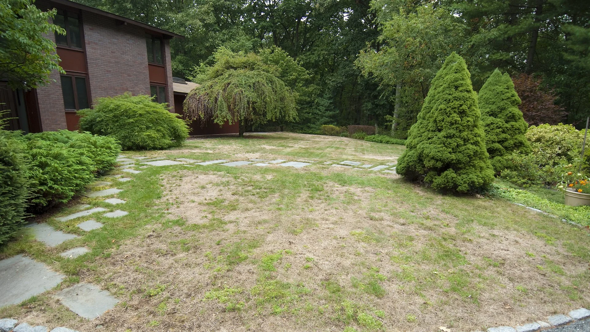 Is Your Lawn Looking Worse for Wear? Schedule a Lawn Renovation Service!