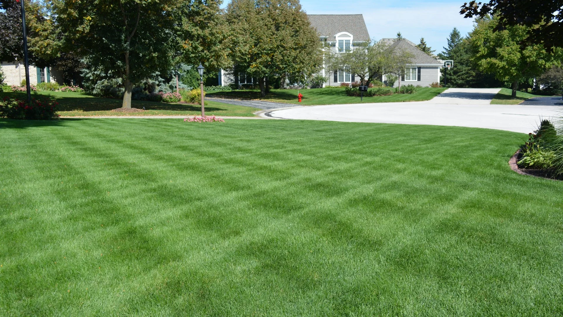 Beautifully striped green lawn in a residential area in Grand Junction, CO.