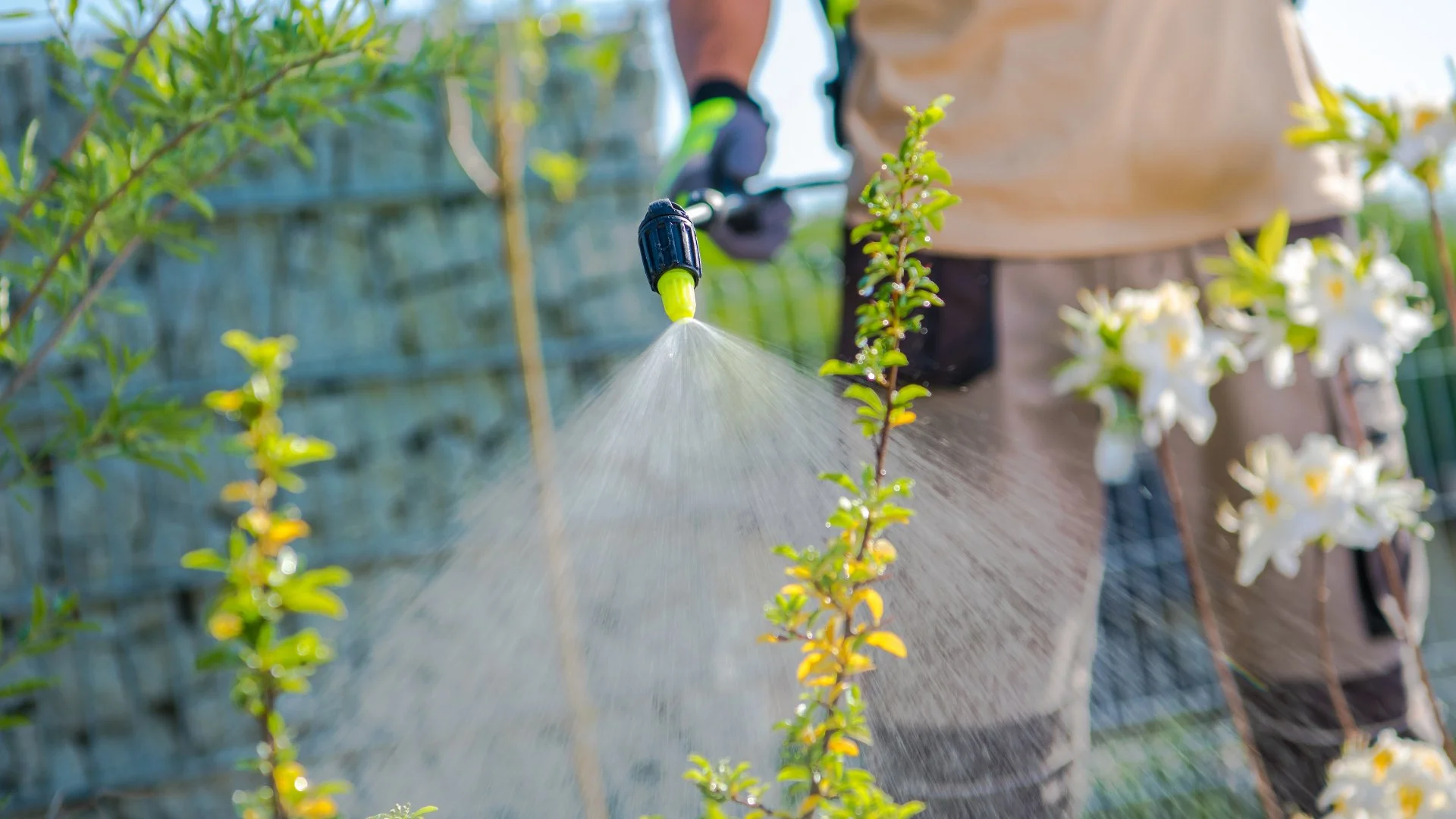 Tree & Shrub Fertilization - Here's What You Need to Know to Keep Your Plants Healthy