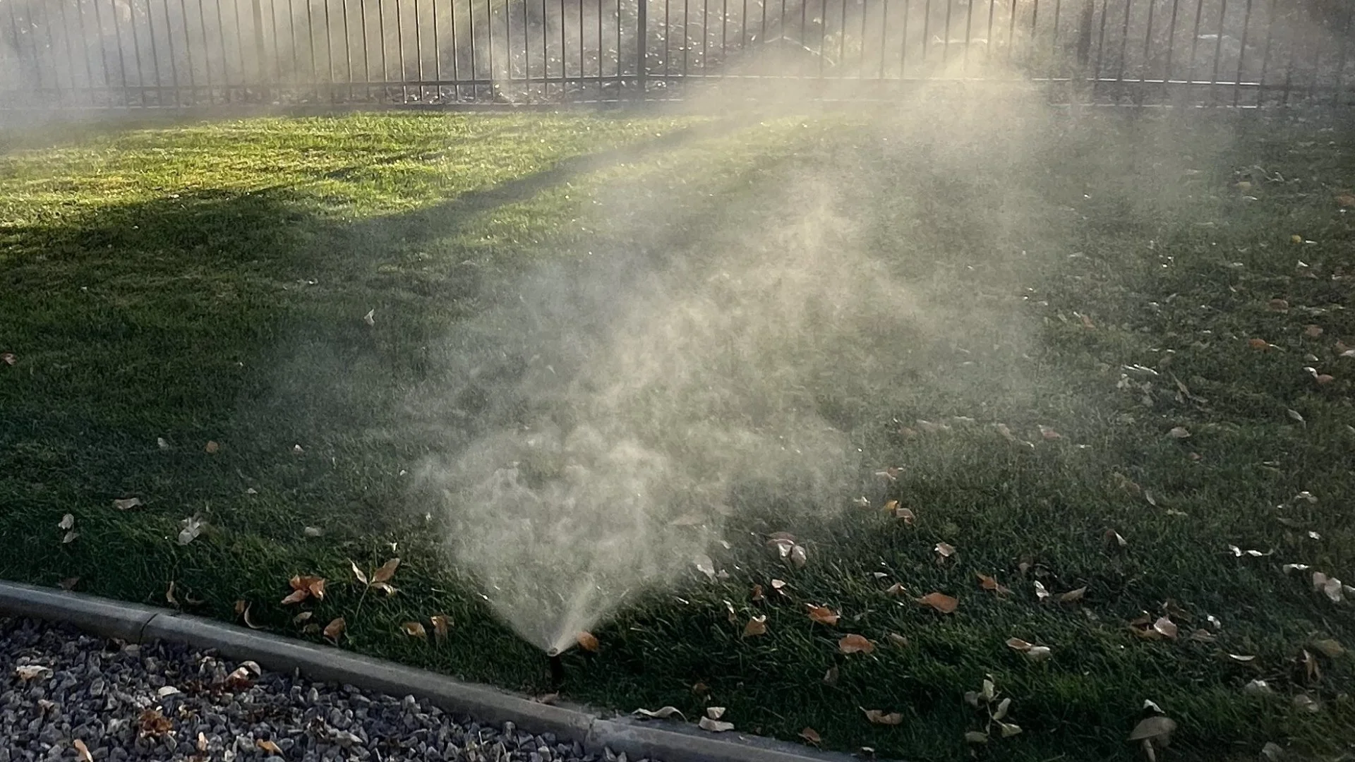 Make Sure to Follow a Strict Watering Schedule After Overseeding