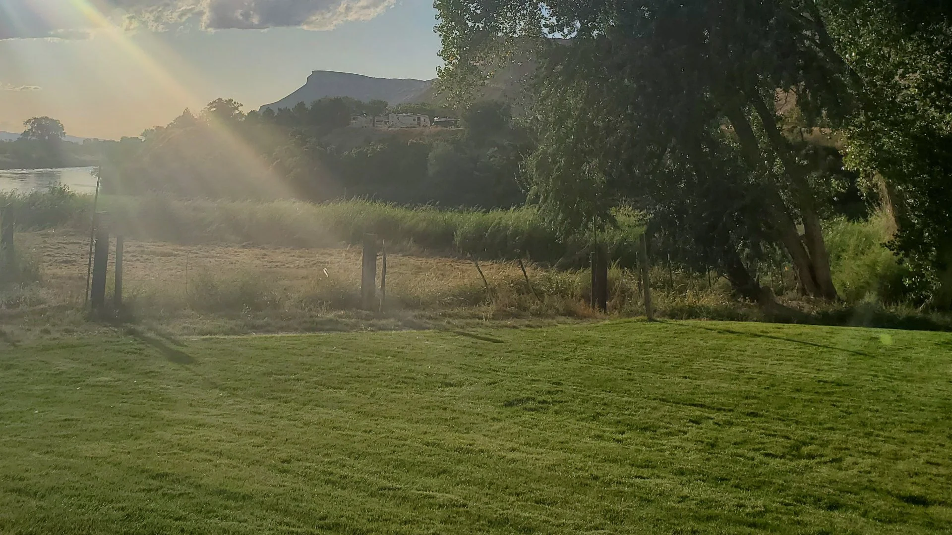 Has Your Lawn Seen Better Days? Here’s How to Bring It Back to Life!