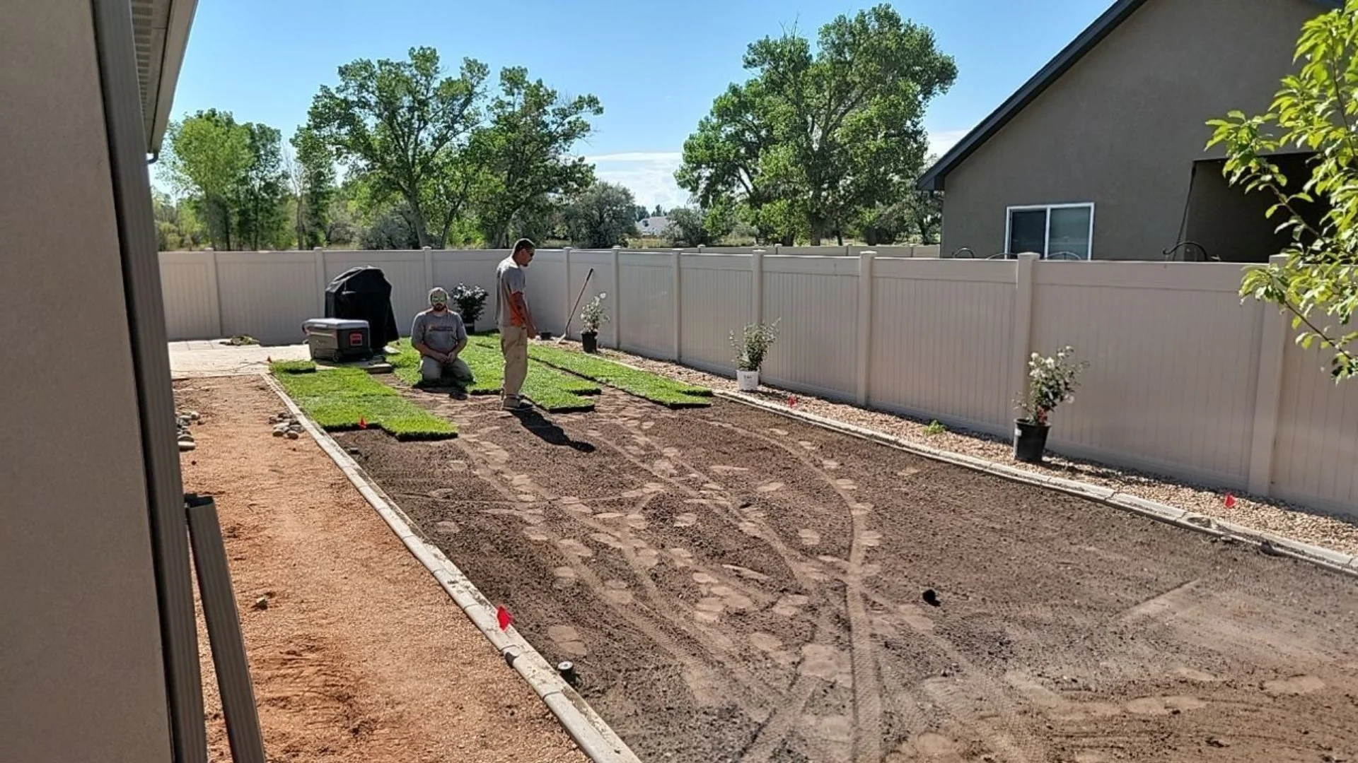 How Long Does It Take for Sod to Take Root?