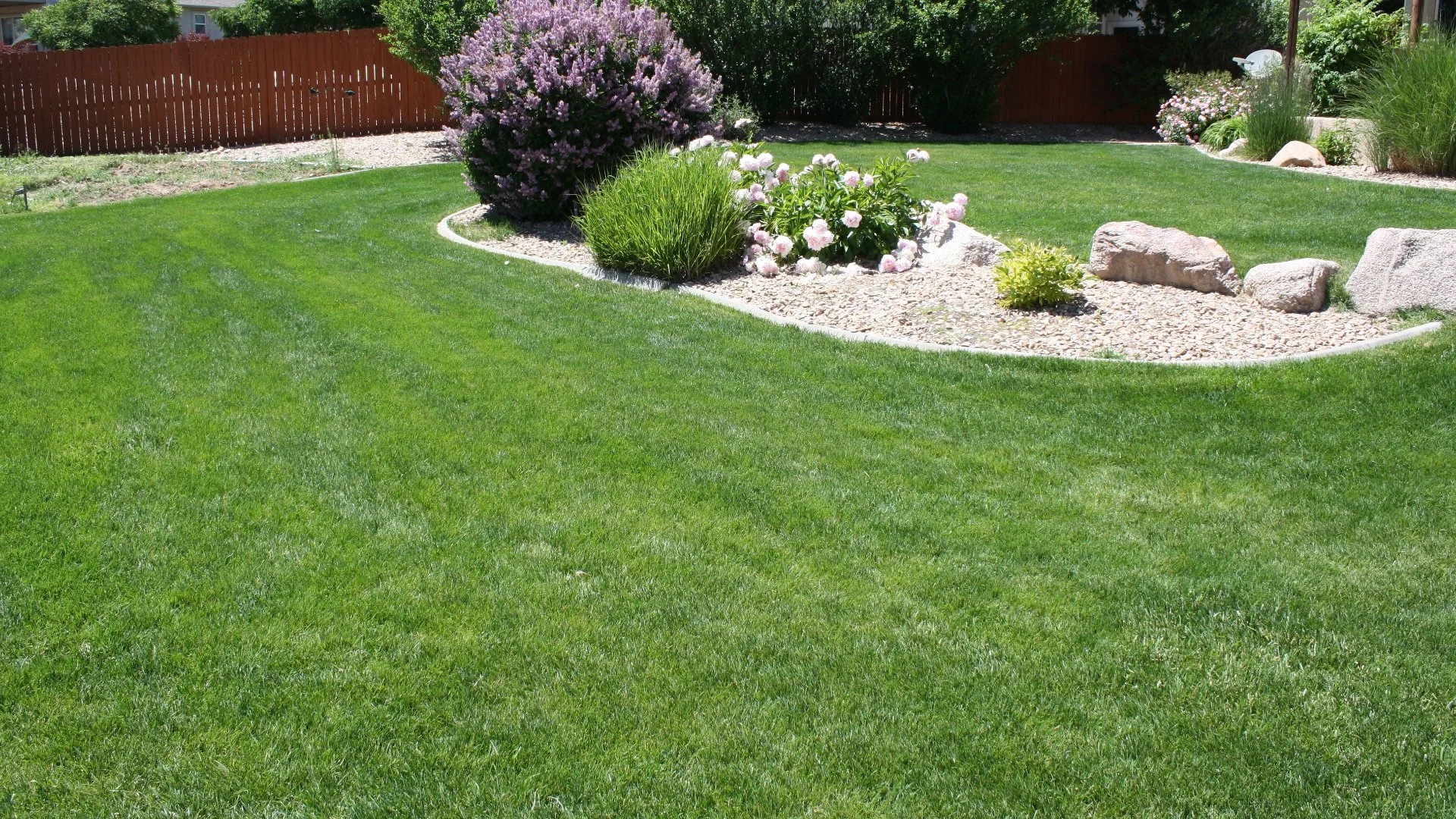 Don't Let Your Lawn Struggle in the Summer - Make Sure to Fertilize It!