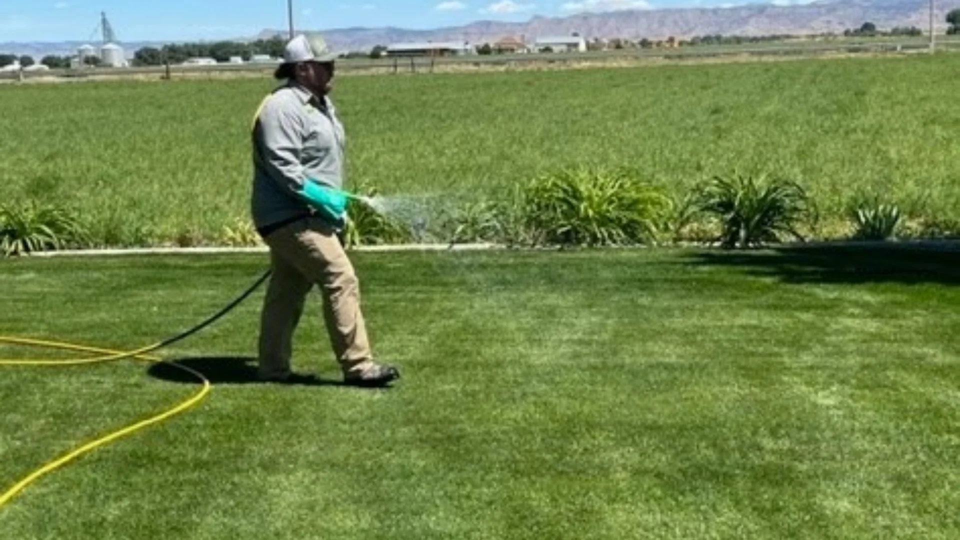 It It Better to Fertilize Your Grass Before or After It Rains?