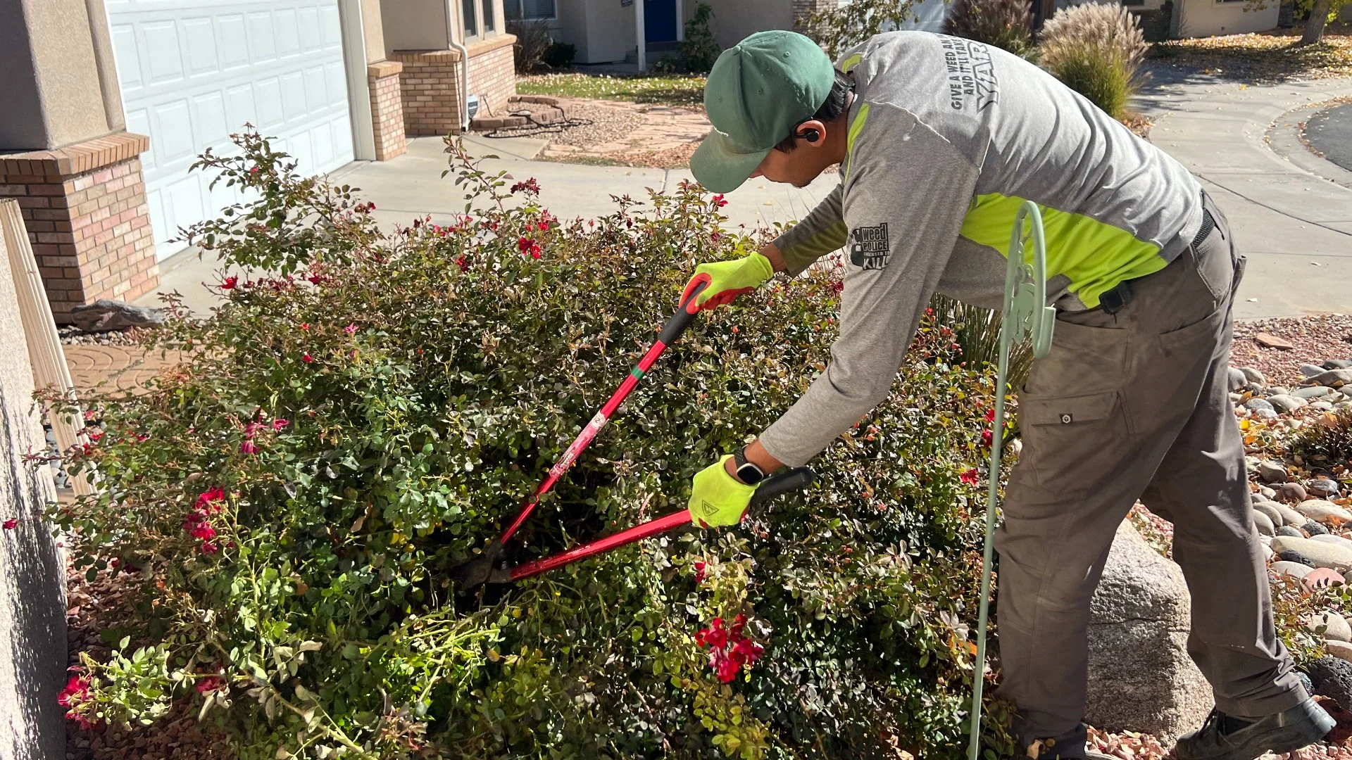 3 Reasons to Have Your Plants Pruned