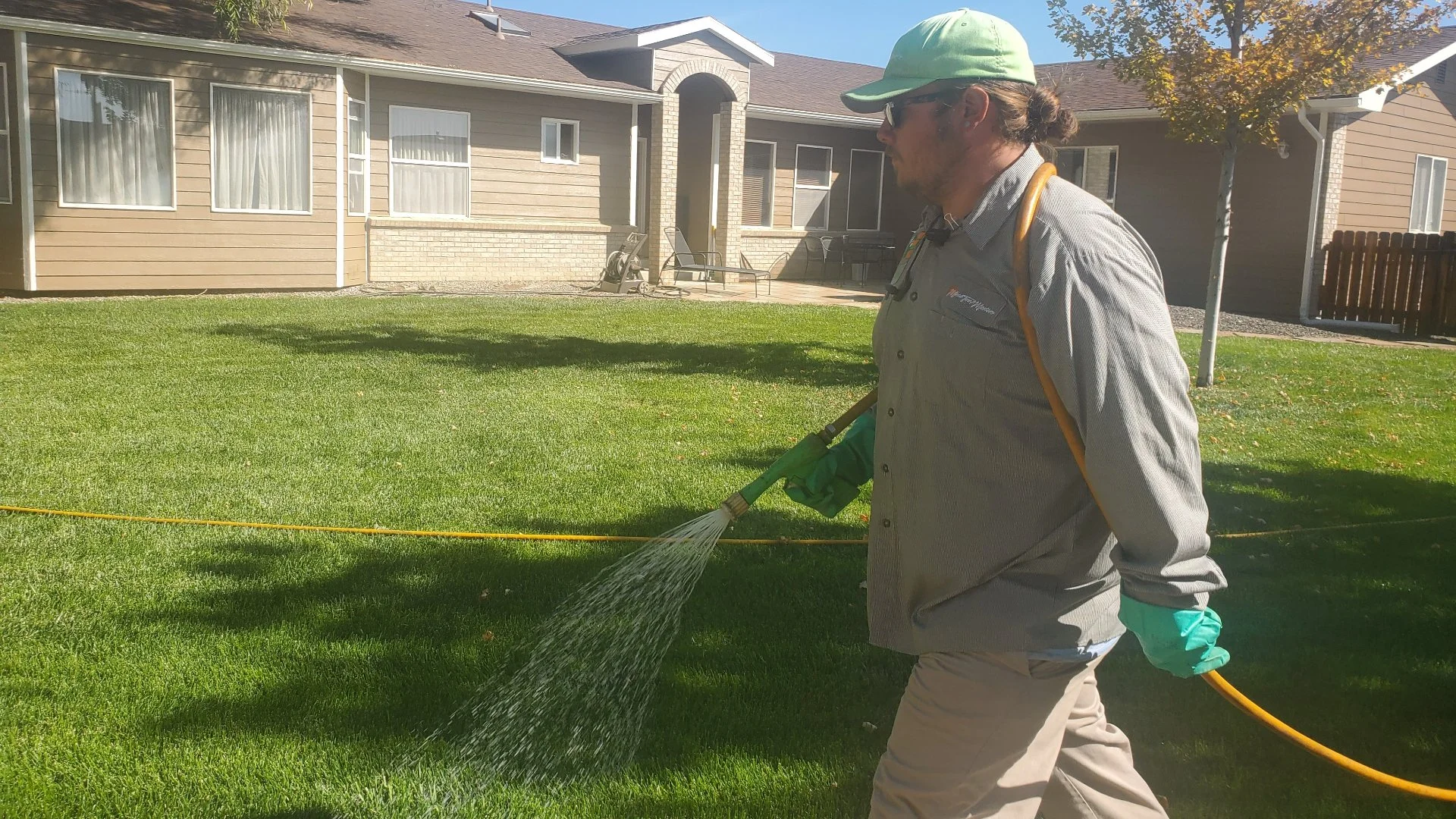 Does Lawn Fertilizer Need to Be Watered In?