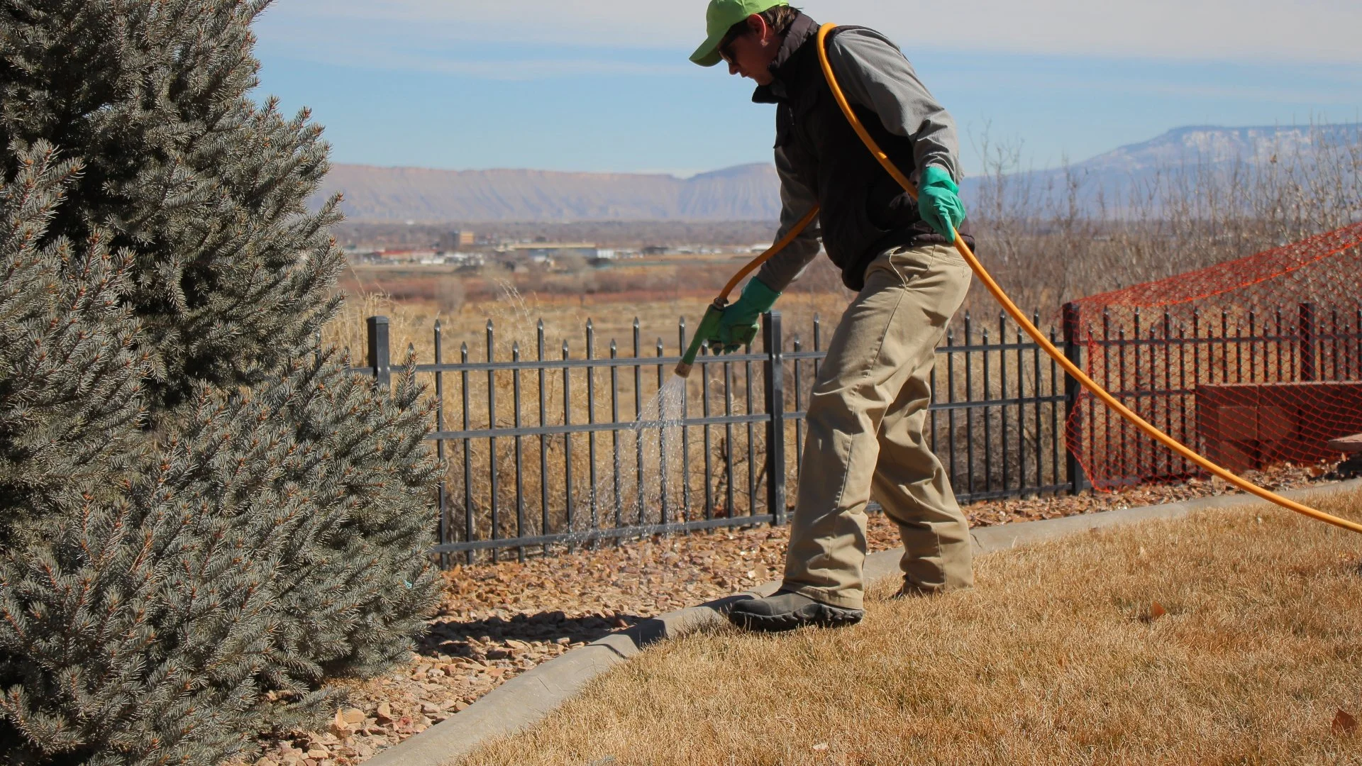 Hire the Right Company for Your Rock Weed Control
