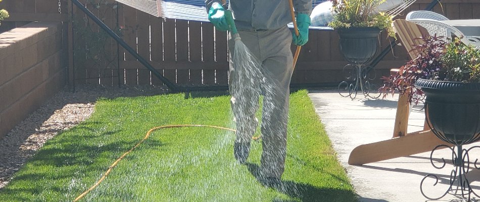 Why You Should Use Both Pre-Emergent & Post-Emergent Weed Control For ...