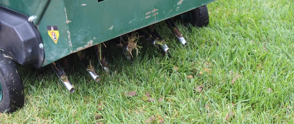 Core aerator machine pulling soil plugs from a lawn in Grand Junction, CO.
