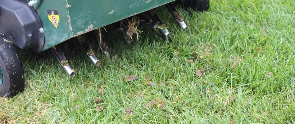 Core aerator machine in Grand Junction, CO, pulling up soil plugs.