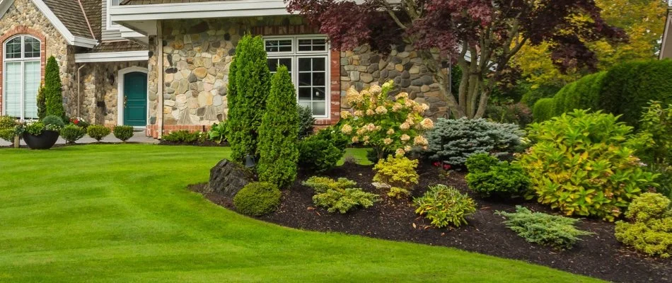 Fresh mulch in a landscape bed in Grand Junction, CO, with plants.