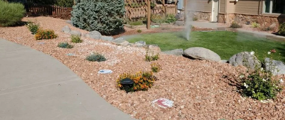 Landscape bed in Grand Junction, CO, with rocks and plants beside a lawn.