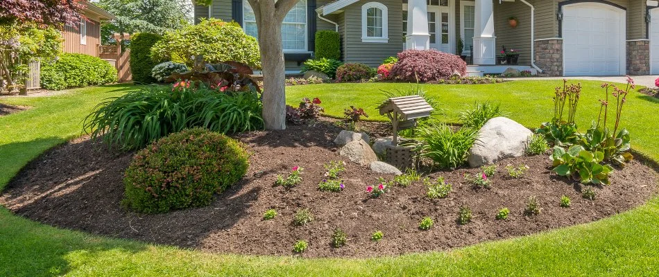 Mulched landscape bed in Grand Junction, CO, with tree, shrubs, and stones.