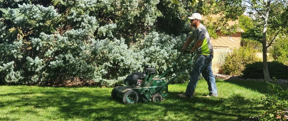 Professional aerating a lawn in Grand Junction, CO.