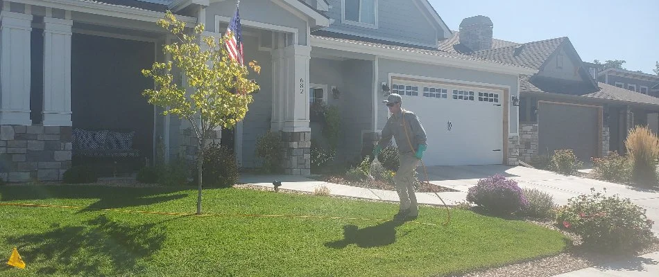 Professional spraying a liquid fertilizer treatment on a lawn in Grand Junction, CO.