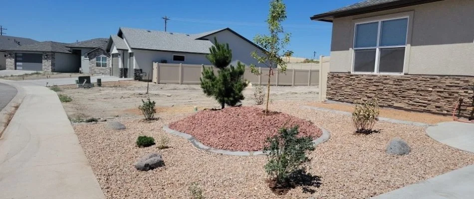 Rock landscaping in Grand Junction, CO, with plants.