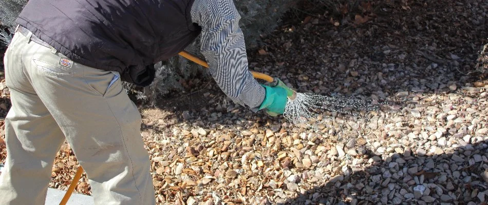 Tech applying a liquid treatment to rocks in Grand Junction, CO.