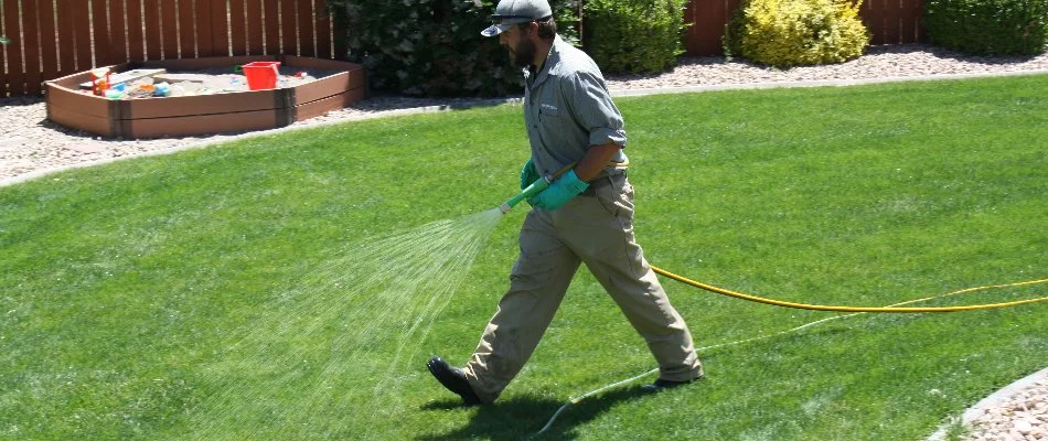 Tech spraying a treatment on green grass in Grand Junction, CO.