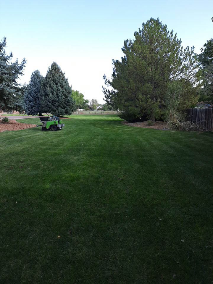 Lawn Care Planning Tips for Your Grand Junction Home