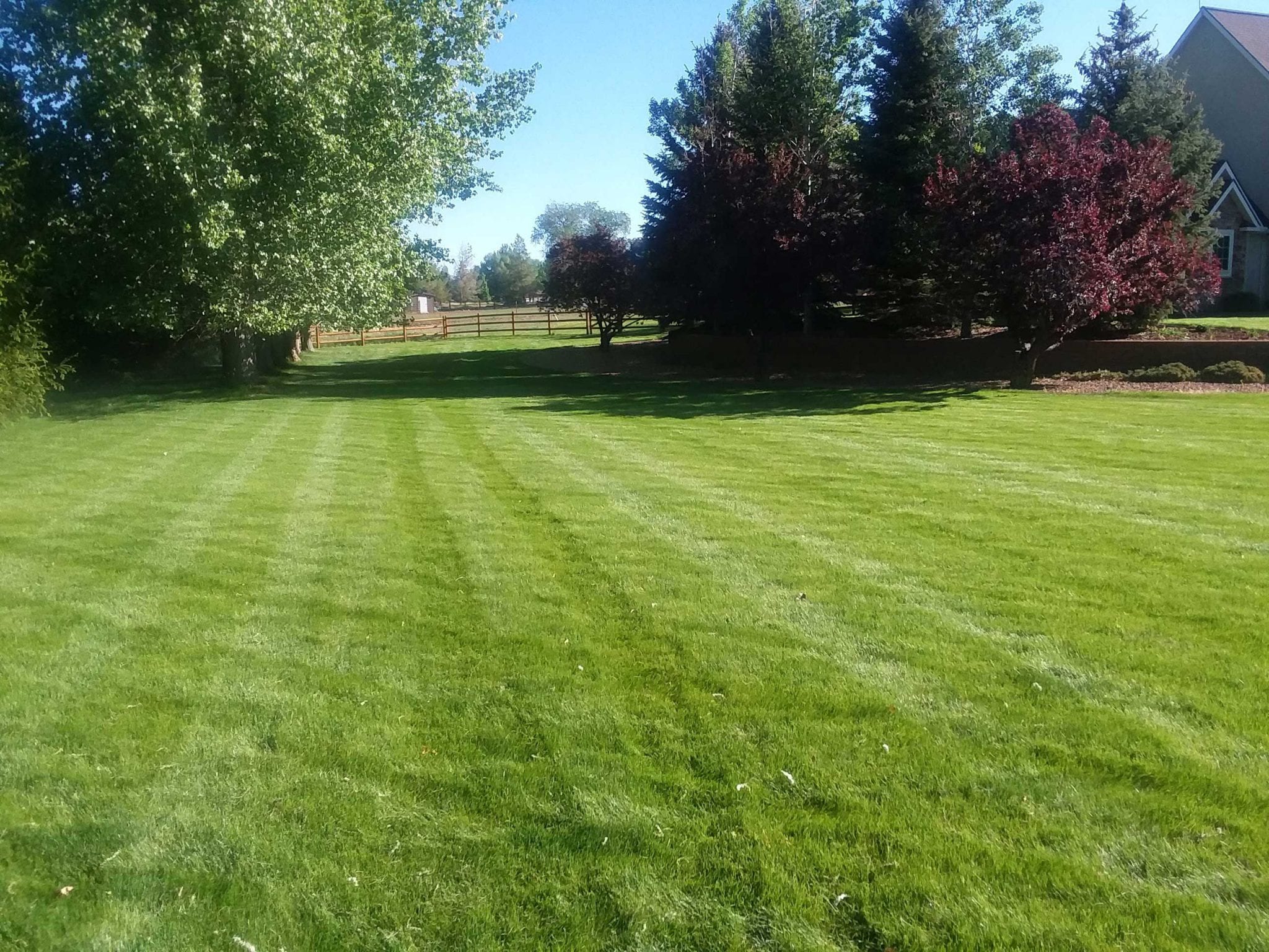 Why It’s Important To Mow Your Lawn