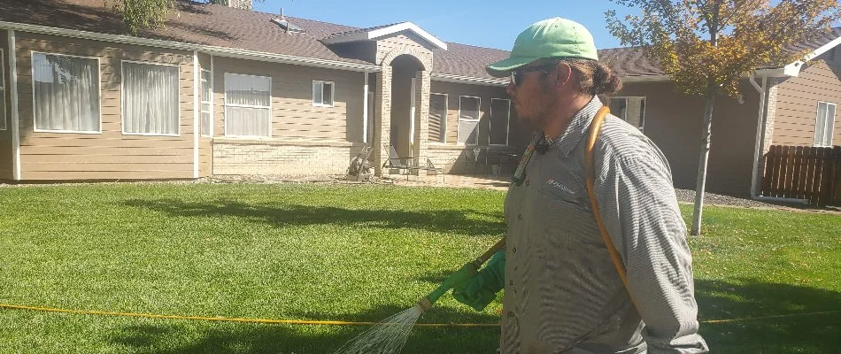 Person watering a healthy lawn with a hose in Grand Junction, CO.