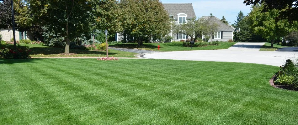 Beautifully striped green lawn in a residential area in Grand Junction, CO.