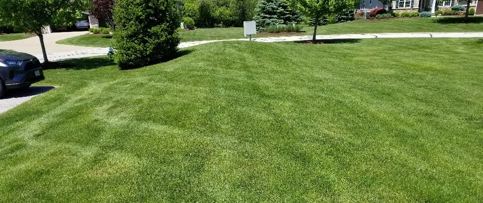 Well-maintained green lawn with stripes in Grand Junction, CO.