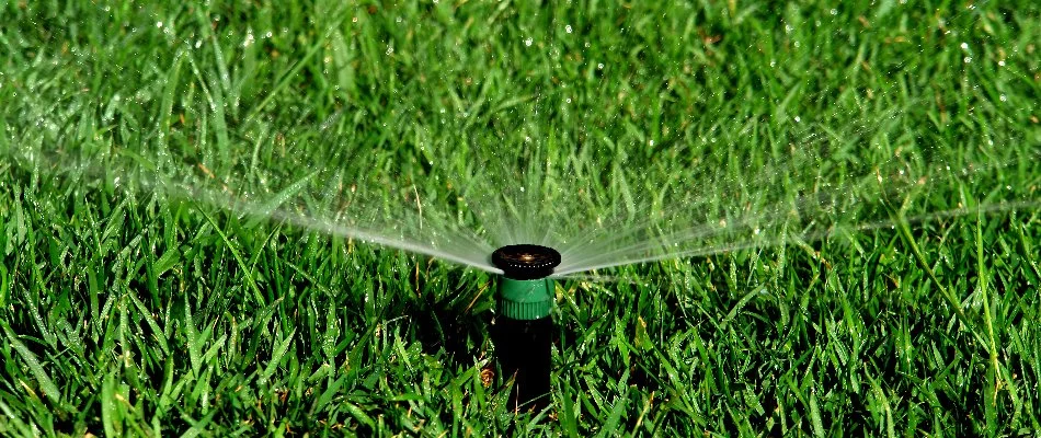 Sprinkler head spraying water on a lawn in Grand Junction, CO.