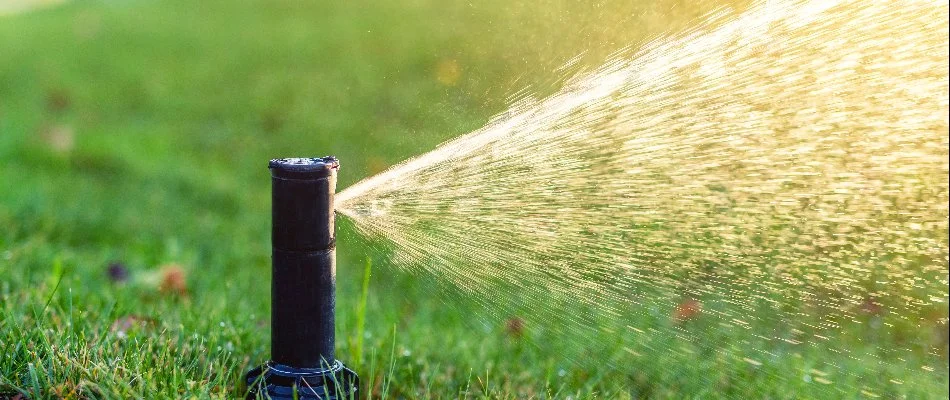 Black sprinkler head spraying water on lawn in Colorado
