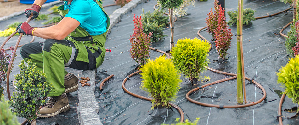 Drip irrigation system being installed in a new landscape bed with an expert consturcting the piping.