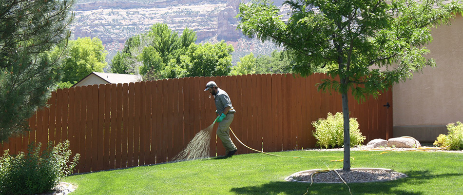 Lawn care expert fertilizing lawn with liquid lawn fertilizer in Grand Junction, CO.