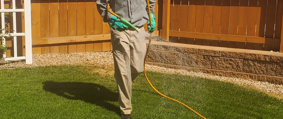 Lawn professional spraying lawn treatment to lawn in Orchard Mesa, CO.
