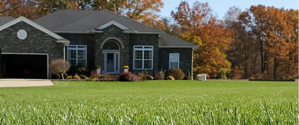 Close-up of lush green grass with a beautiful home backdrop in Grand Junction, CO.